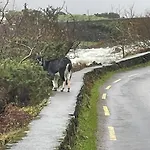 Gap Of Dunloe Shepherd's * Килларни