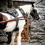 Дом отдыха Gap Of Dunloe Shepherd's *