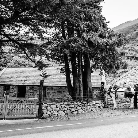 Gap Of Dunloe Shepherd's Killarney