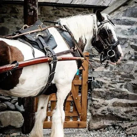 Feriehus Gap Of Dunloe Shepherd's *