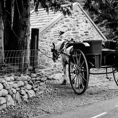 Gap Of Dunloe Shepherd's * كيلارني