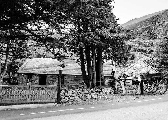 Gap Of Dunloe Shepherd's 킬라니