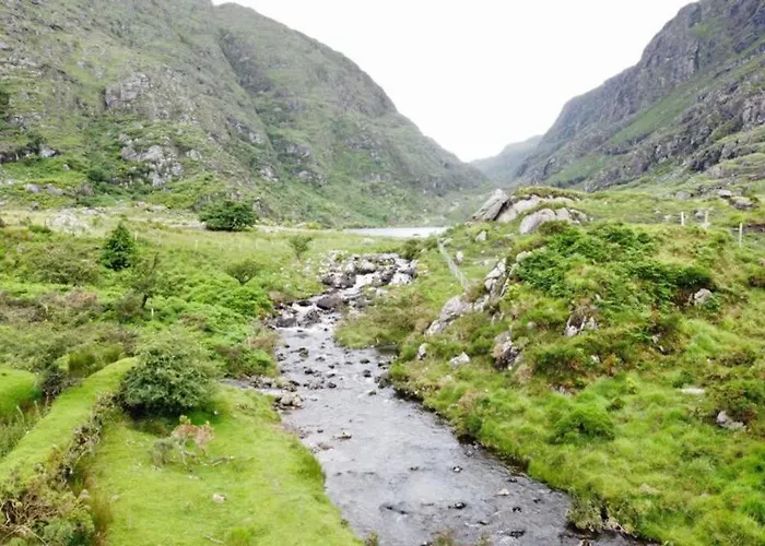 Gap Of Dunloe Shepherd's 킬라니