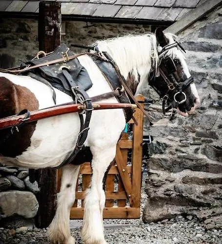 펜션 Gap Of Dunloe Shepherd's *