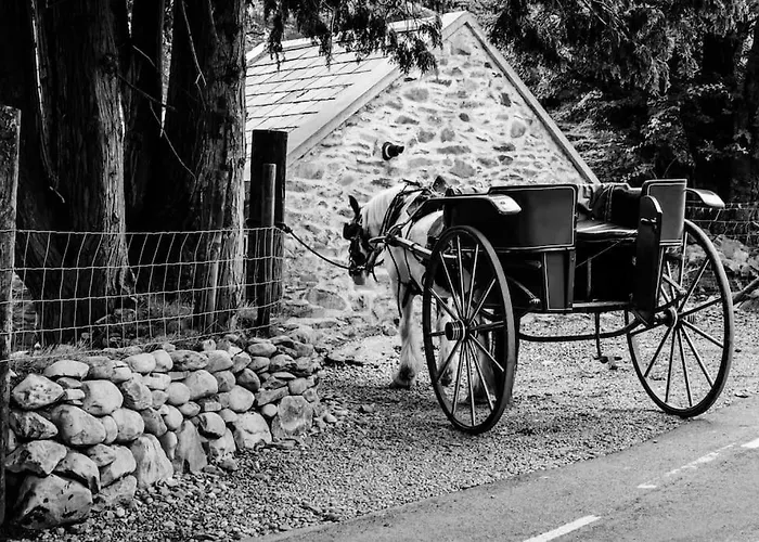 Gap Of Dunloe Shepherd's * 킬라니