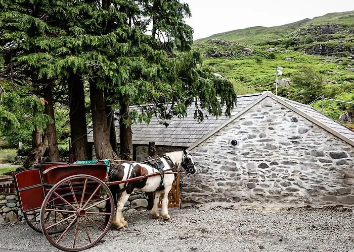 Gap Of Dunloe Shepherd's 펜션 킬라니